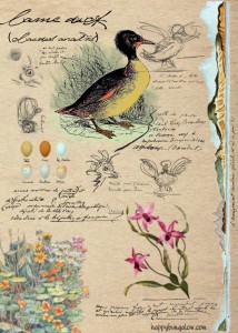 not quite real vintage illustration of duck and flowers