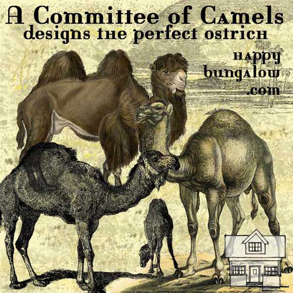 Committee of Camels designs the perfect ostrich logo