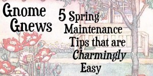 Spring Maintenance Tips for the Home