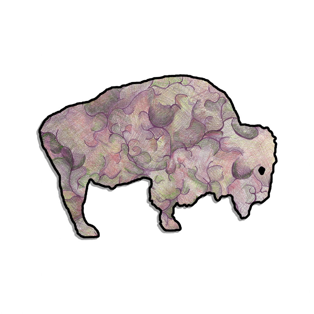 Buffalo Bison Sticker